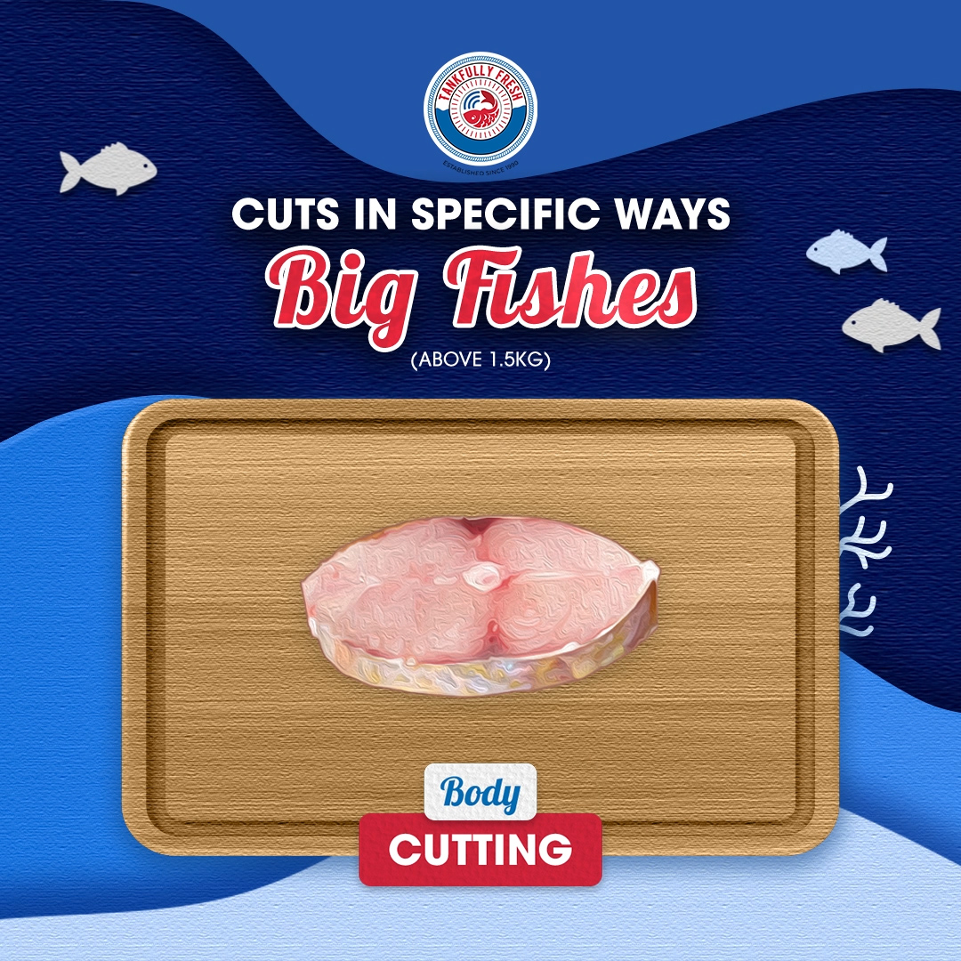 Cuts in specific ways for big fishes, body cutting